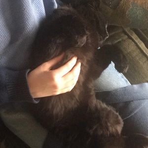 Meet your Posher, Kaylee